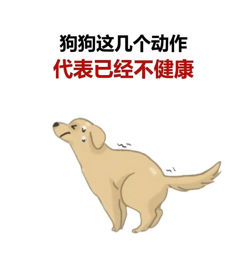 家有爱犬，无畏狗味（让你的家恢复清新的空气，告别狗味困扰）