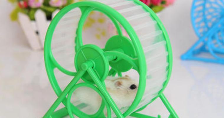 仓鼠跑轮的使用时间（探讨仓鼠跑轮的耐用性与合适使用时间）