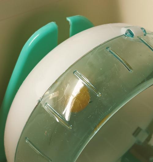 仓鼠跑轮的使用时间（探讨仓鼠跑轮的耐用性与合适使用时间）