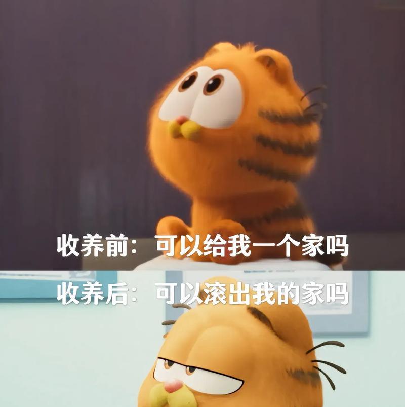 养加菲猫的坏处（加菲猫的缺点及养宠前需知）