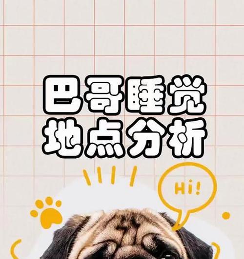 以巴哥犬的睡眠习惯与需求（探究以巴哥犬睡眠时长及影响因素）