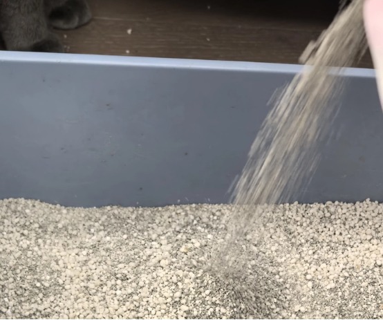 星宴荷鲁斯木薯矿砂