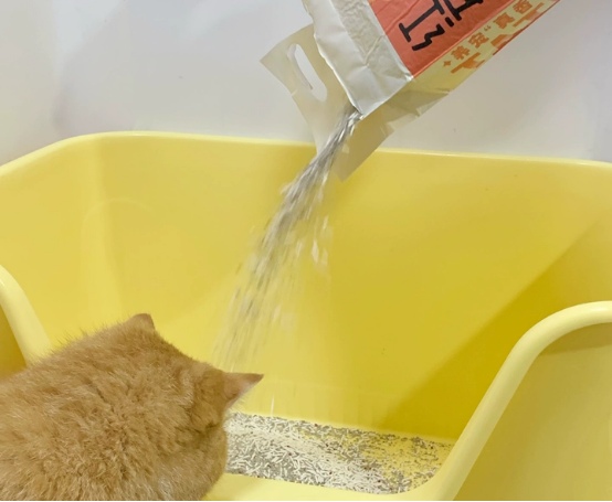 淘豆顽国猫砂测评