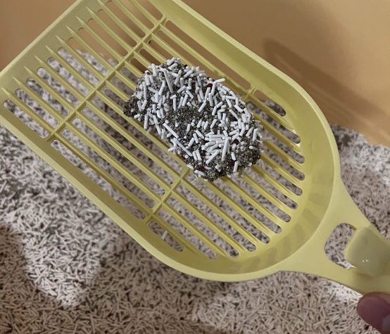 淘豆顽国红石榴猫砂怎么样