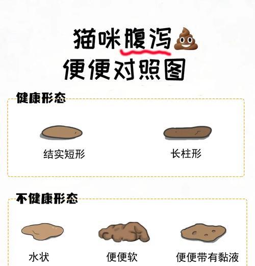 探究健康猫咪的排便状况（猫咪便便判断图助你了解它的健康状况）