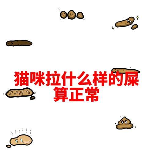 探究健康猫咪的排便状况（猫咪便便判断图助你了解它的健康状况）