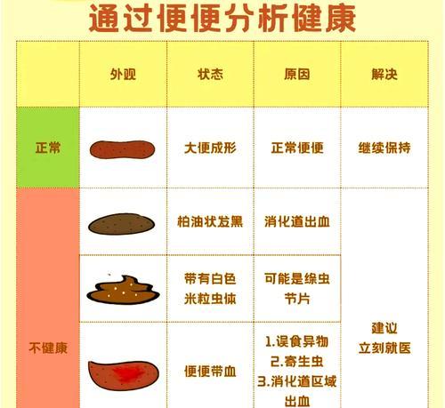猫咪便便健康指南：15个关键指标解析