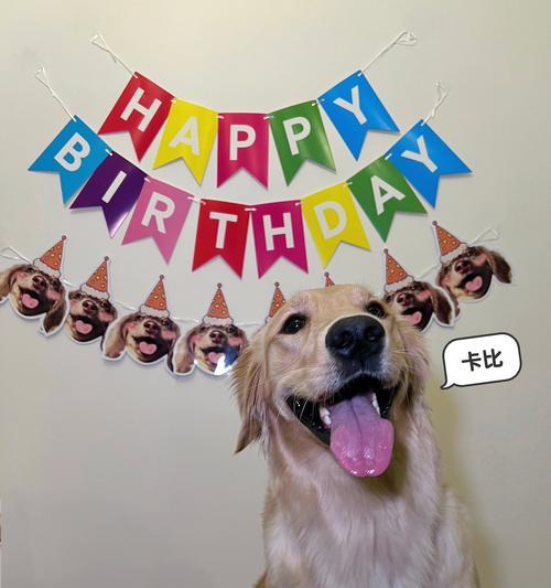 宠物狗造型(揭秘狗狗造型修剪的最佳时间和频率) 宠物狗造型(揭秘狗狗造型修剪的最佳时间和频率)