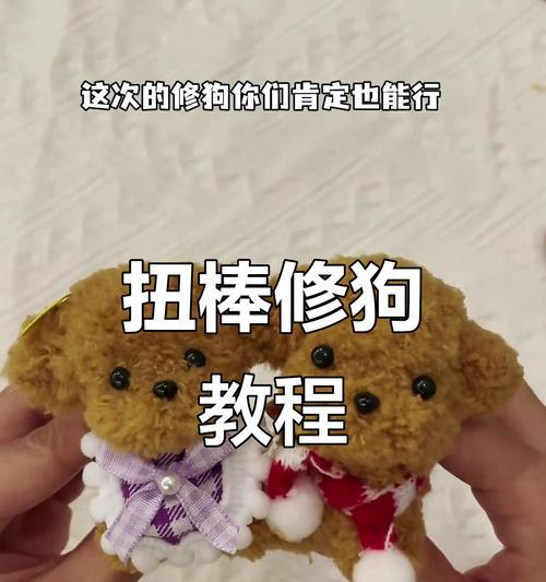 宠物狗造型(揭秘狗狗造型修剪的最佳时间和频率) 宠物狗造型(揭秘狗狗造型修剪的最佳时间和频率)