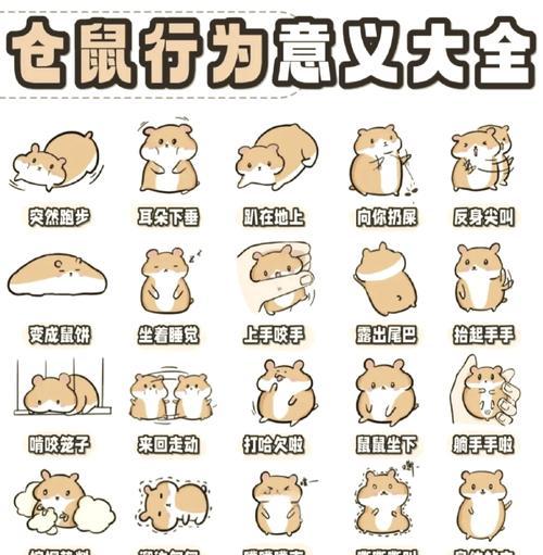 仓鼠洗澡的频率与注意事项(养仓鼠必读,它们的洗澡习惯与健康需求) 仓鼠洗澡的频率与注意事项(养仓鼠必读,它们的洗澡习惯与健康需求)