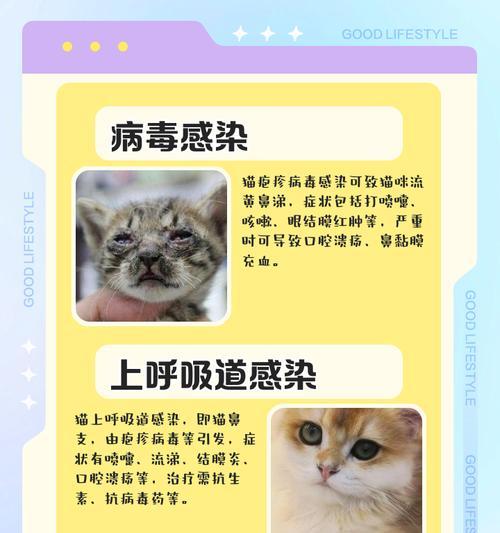 蓝猫频繁打喷嚏流鼻涕怎么办