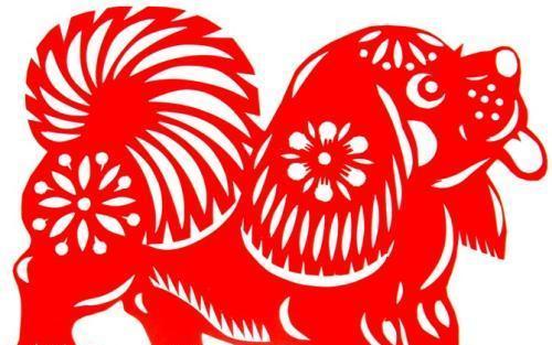 狗狗拉红色血便如何处理？治疗还是放弃？