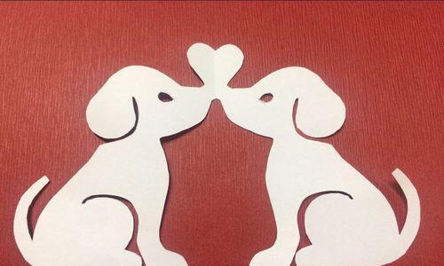 狗狗拉红色血便如何处理？治疗还是放弃？