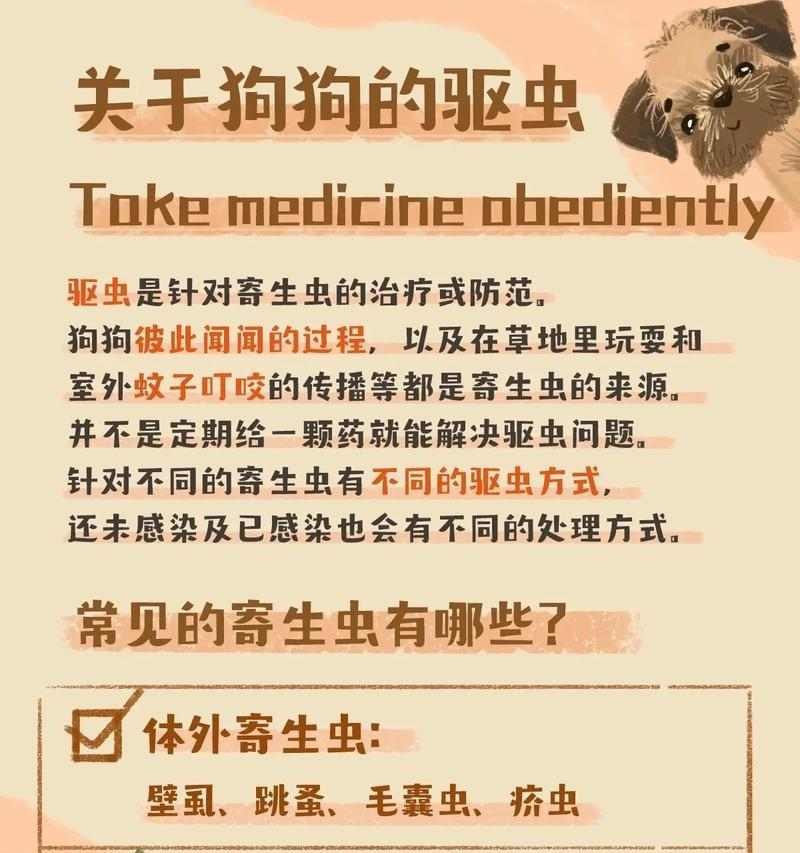 1岁半狗狗驱虫频率指南 1岁半狗狗驱虫频率指南
