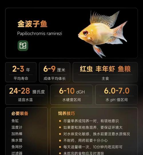 金鱼寿命揭秘:如何延长金鱼的寿命 金鱼寿命揭秘:如何延长金鱼的寿命