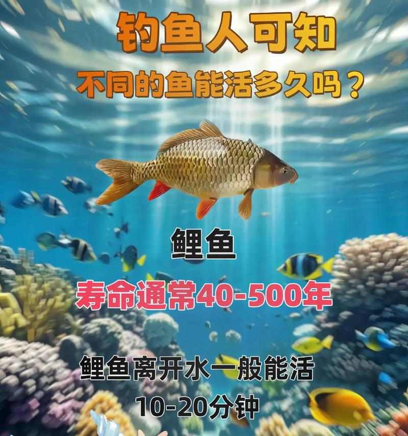 金鱼寿命揭秘:如何延长金鱼的寿命 金鱼寿命揭秘:如何延长金鱼的寿命