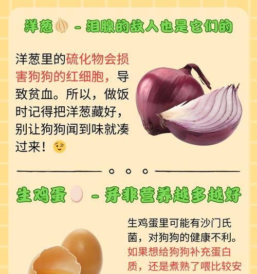 狗狗可以吃冰淇淋吗？酸奶最佳