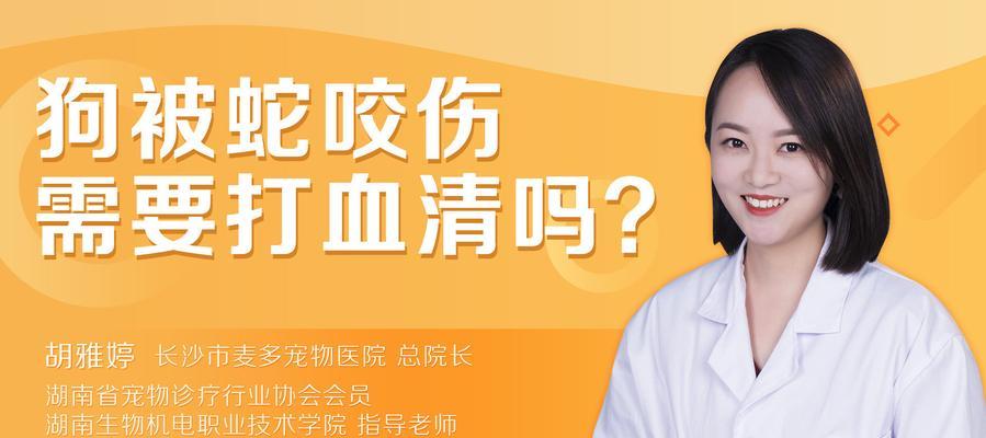 Dog Blood Serum Effect Duration and Care