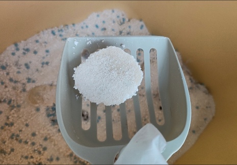 奥丁月落桂影木薯猫砂测评 性价比如何? 木薯猫砂测评