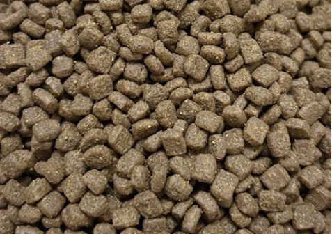 比乐乌鸡红参猫粮测评 中医养生是否适合猫咪 比乐乌鸡红参猫粮怎么样