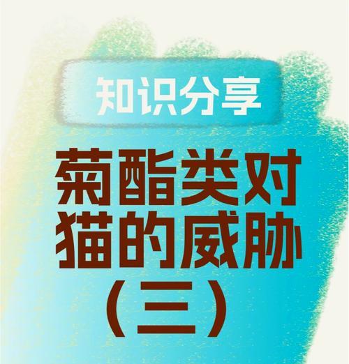 小猫中毒康复指南：时间与方法详解