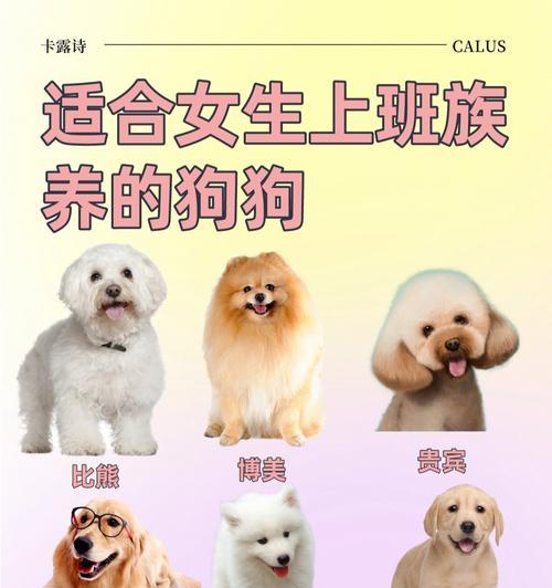 探索世界最受欢迎的宠物品种