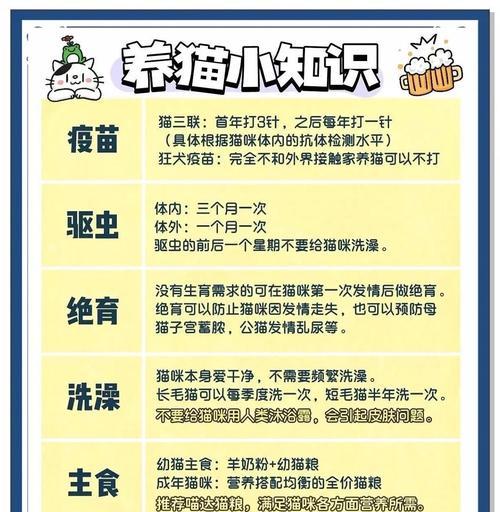 新手养猫必备指南:照顾与注意事项 新手养猫必备指南:照顾与注意事项