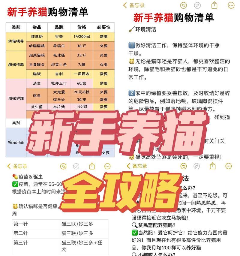 新手养猫必备指南:照顾与注意事项 新手养猫必备指南:照顾与注意事项
