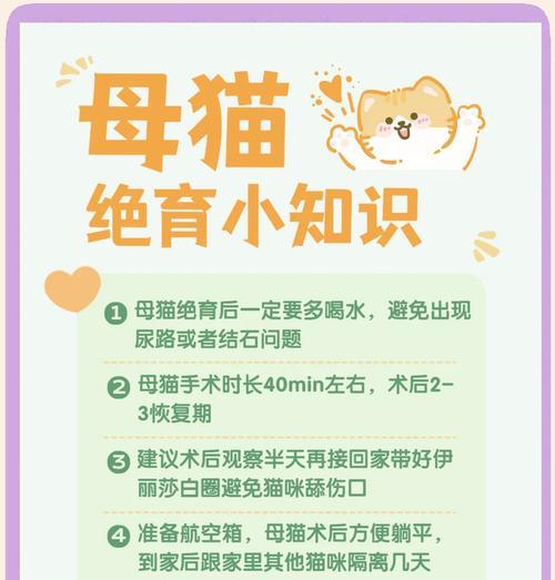 母猫绝育恢复时间及护理要点