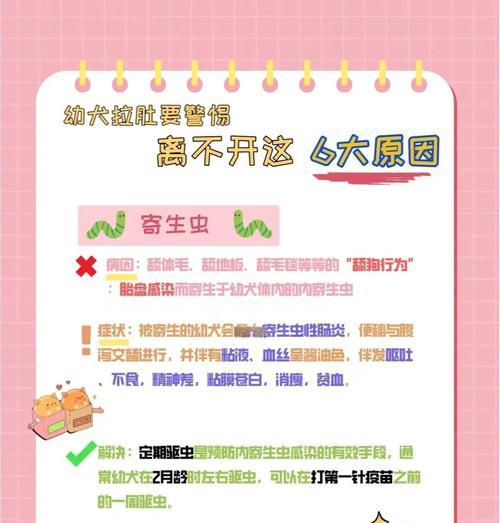 新手养狗须知（解决秋季拉布拉多犬腹泻问题的有效方法）