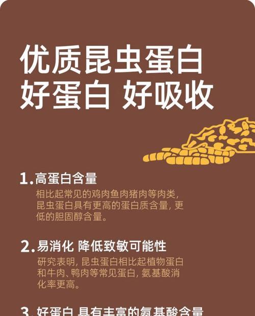 小泰迪何时开始吃狗粮？（营养转变的关键时期及培养方法）