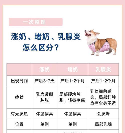 狗狗怀孕多久挤出奶？（探究狗狗产后乳汁分泌的时间和过程）