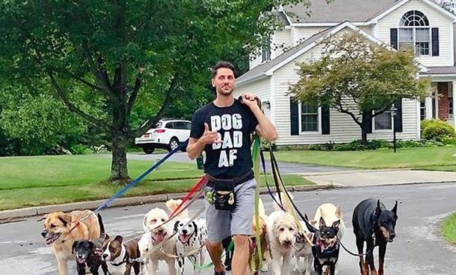 骑自行车遛狗，轻松掌握三步走！（让你的狗狗也能享受自行车出行的乐趣）