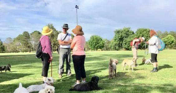 骑自行车遛狗三步走，安全又有趣