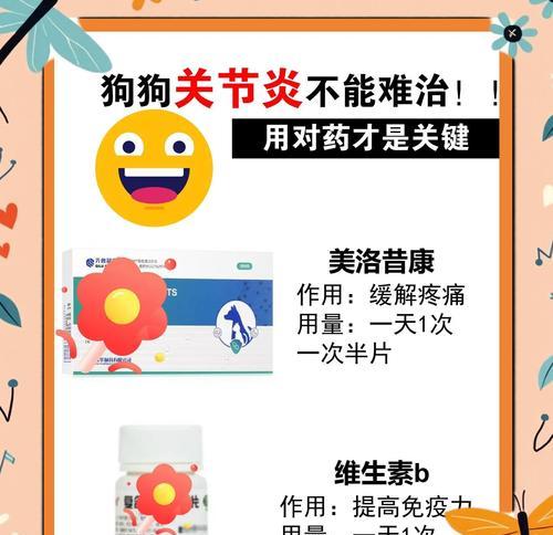 狗狗止痛药的持续时间（了解狗狗止痛药的持续时间，为你的爱宠提供最佳的照顾）