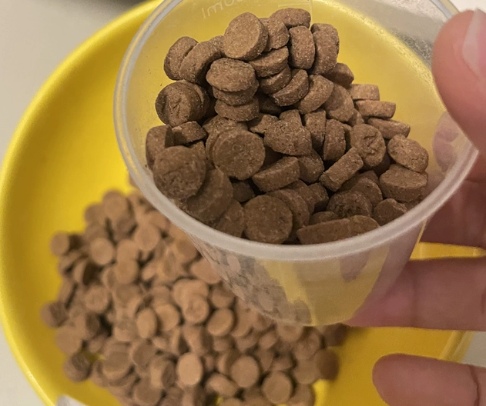 拒绝毒猫粮!宠率H42烘焙猫粮到底怎么样? 猫粮测评