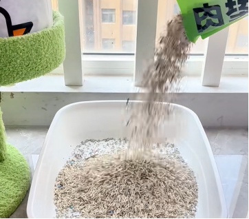 肉垫猫砂测评