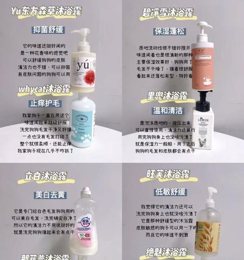 狗流产后洗澡时间与注意事项(了解适宜的洗澡时间,保护狗狗健康) 狗流产后洗澡时间与注意事项(了解适宜的洗澡时间,保护狗狗健康)