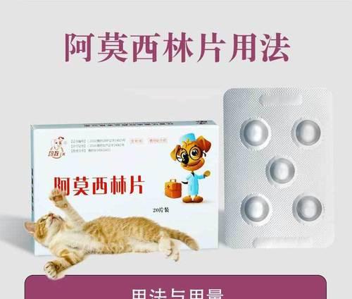猫咪感冒如何治疗?常见症状与药物使用指南 猫咪感冒如何治疗?常见症状与药物使用指南