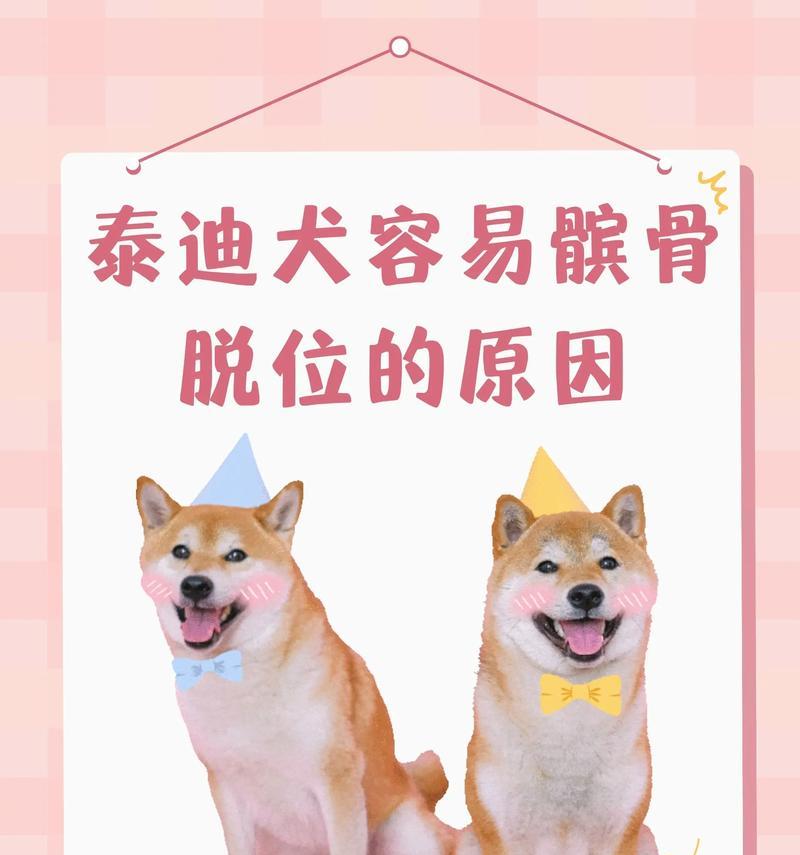 探究泰迪狗一直抖的原因（从生理、环境到情绪，解析泰迪狗抖动现象）