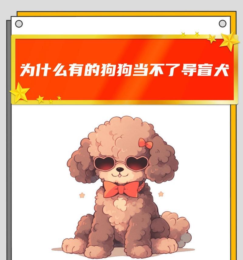 探究泰迪狗一直抖的原因（从生理、环境到情绪，解析泰迪狗抖动现象）