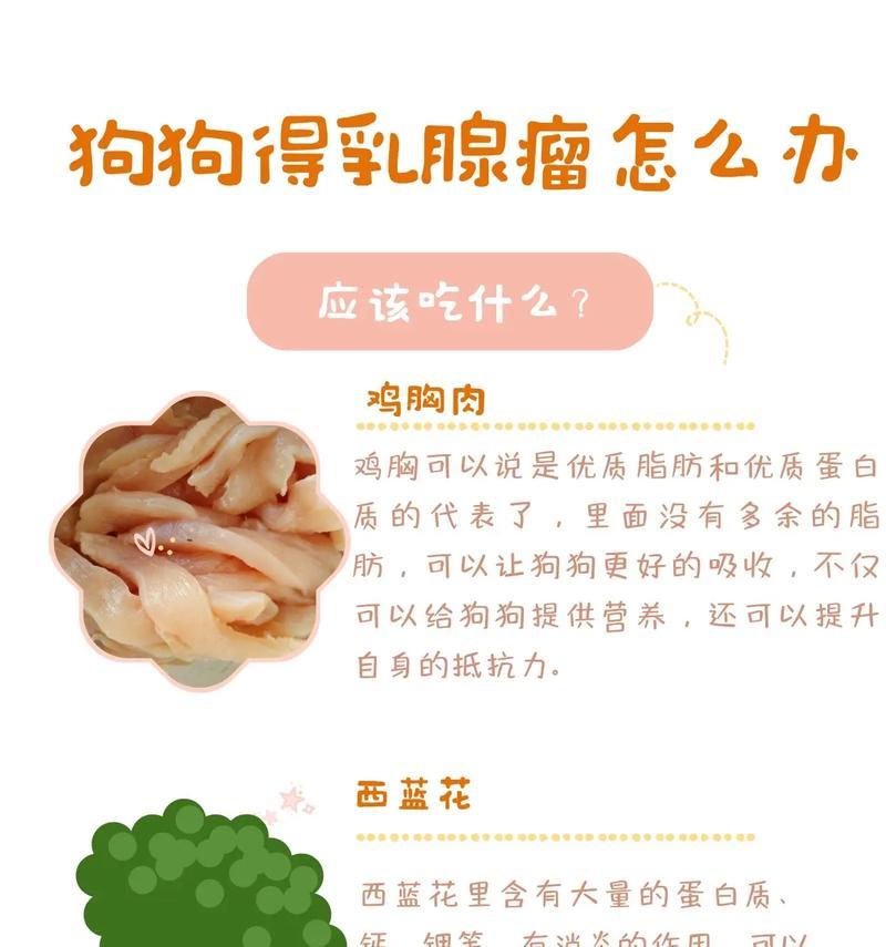 狗狗如何补充营养(为你的爱宠提供健康饮食) 狗狗如何补充营养(为你的爱宠提供健康饮食)