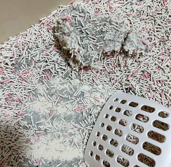 囧宝猫砂好用吗？