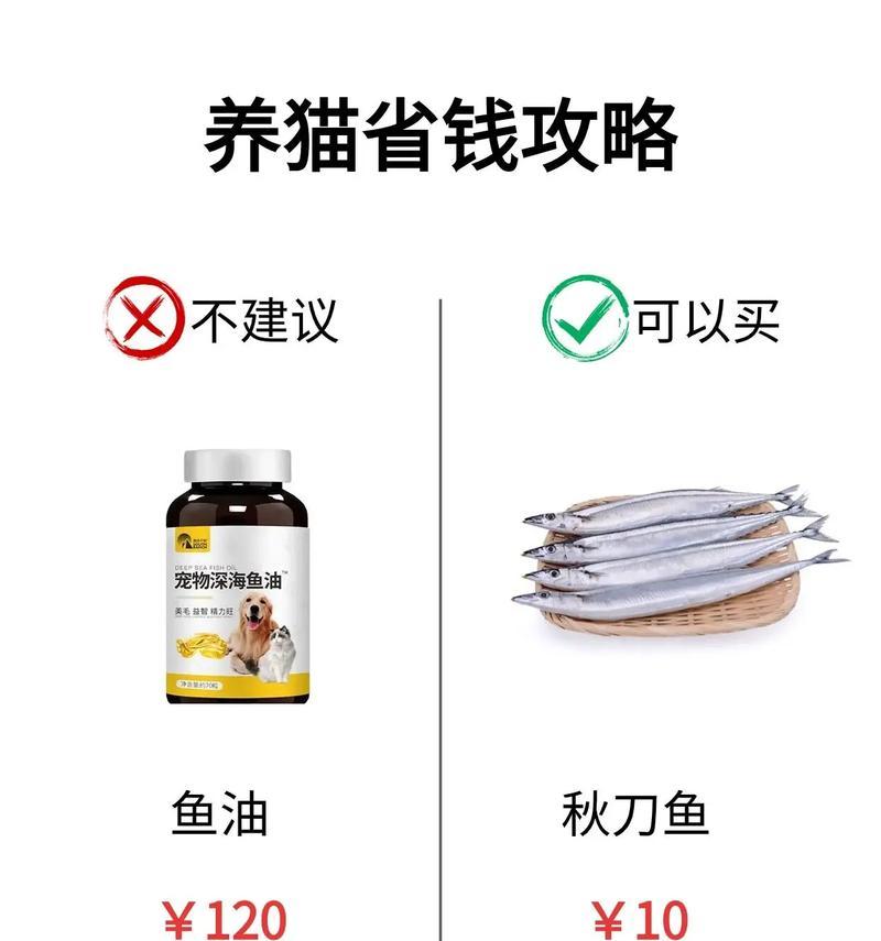 猫营养不良症状与调理方法