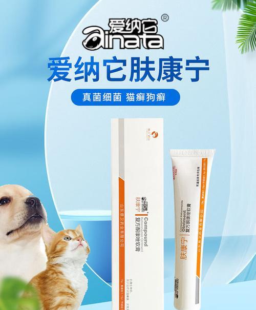 猫咪外伤消炎处理全攻略