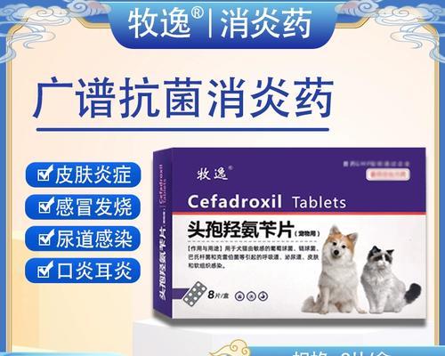 猫咪外伤消炎处理全攻略