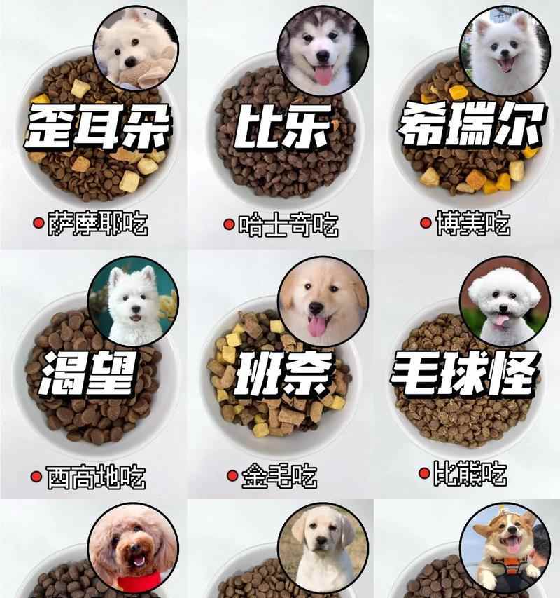 狗狗营养饮食指南 健康饮食全解析 狗狗营养饮食指南 健康饮食全解析