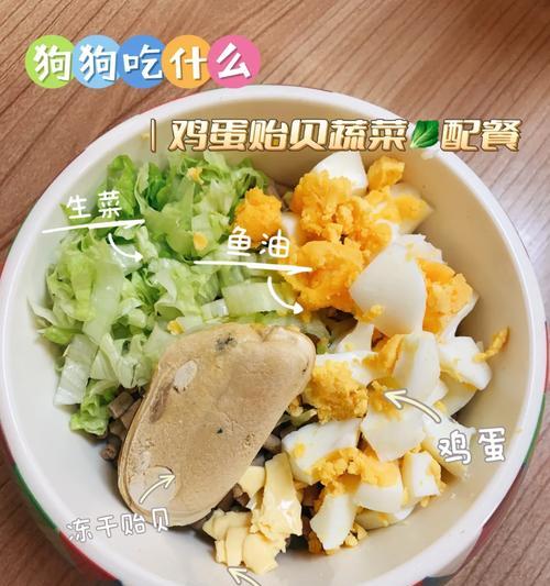 狗狗营养饮食指南 健康饮食全解析 狗狗营养饮食指南 健康饮食全解析
