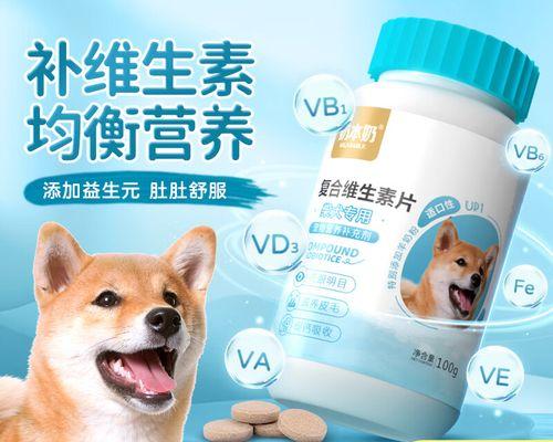 柴犬的饮食习惯和适宜生吃的食物（探讨柴犬的饮食喜好以及适合其生食的关键食物）