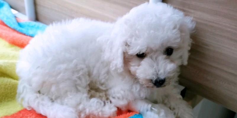 细小第五天饮食指南｜康复饮食实用建议